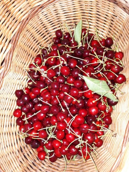 Extra džem z třešní - 280 g - Image 4